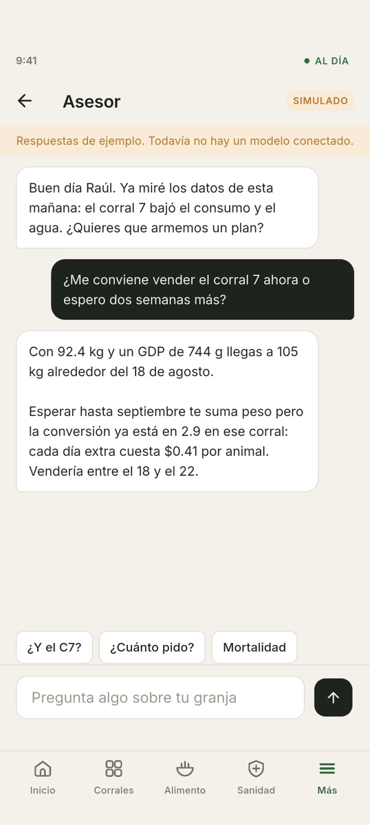Hof-Hub — el asesor