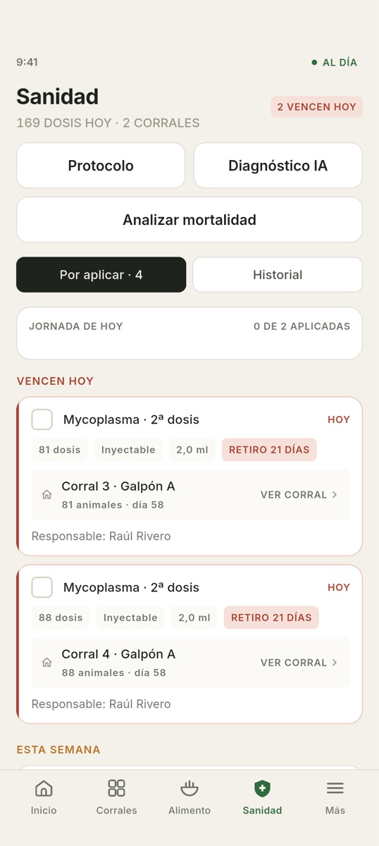 Hof-Hub — Sanidad