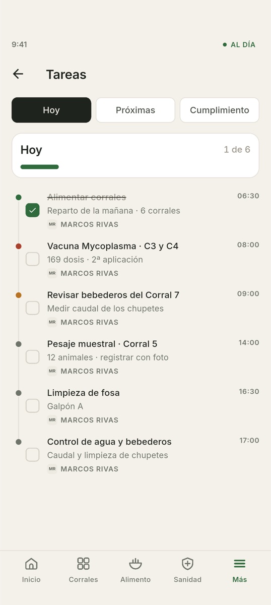 Hof-Hub — las tareas del día